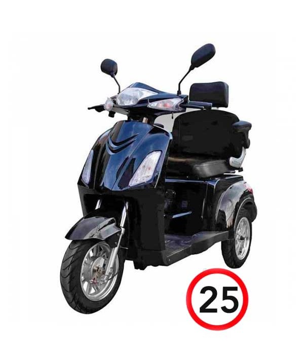 Elektromobil VITA CARE 1000, schwarz